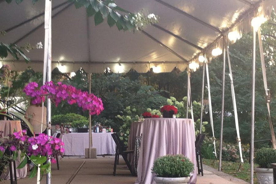 Tented patio reception with string lights and orchids